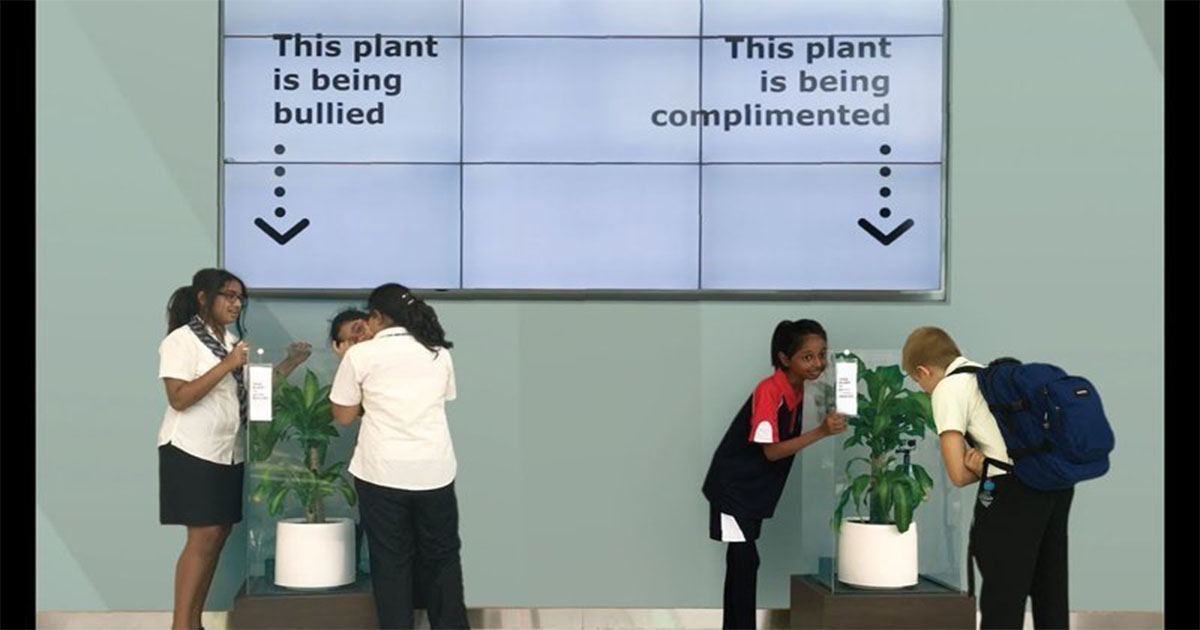 Ошеломляющий результат эксперимента: IKEA попросила школьников ругать растение в течение 30 дней