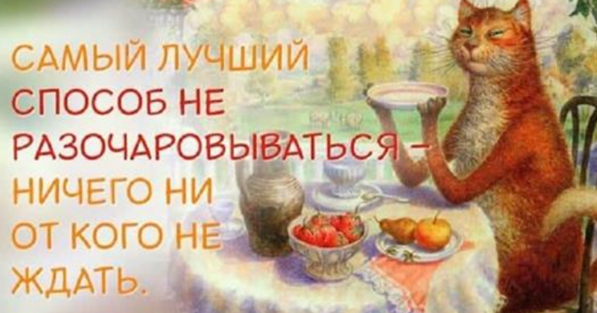 Черновик