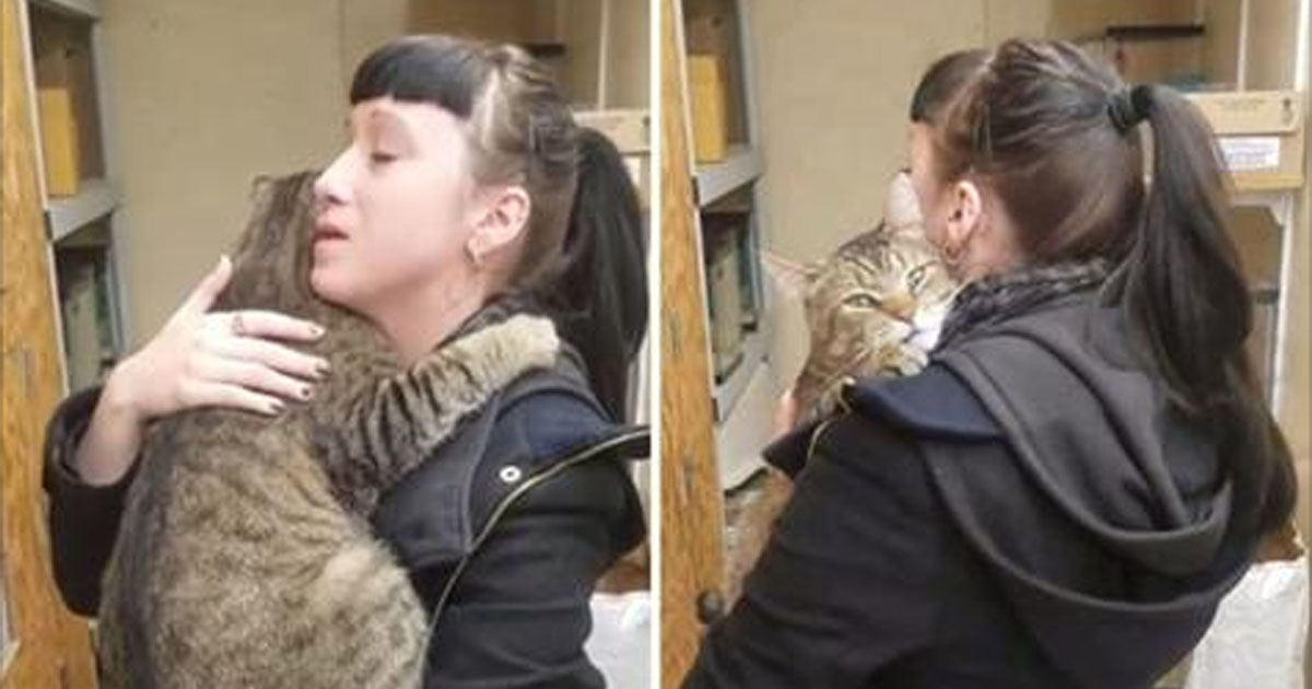 Огромный кот вцепился в девушку и уже не желал отпускать