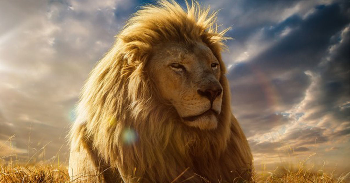 30 невероятных причин, почему никто не может жить без Львов