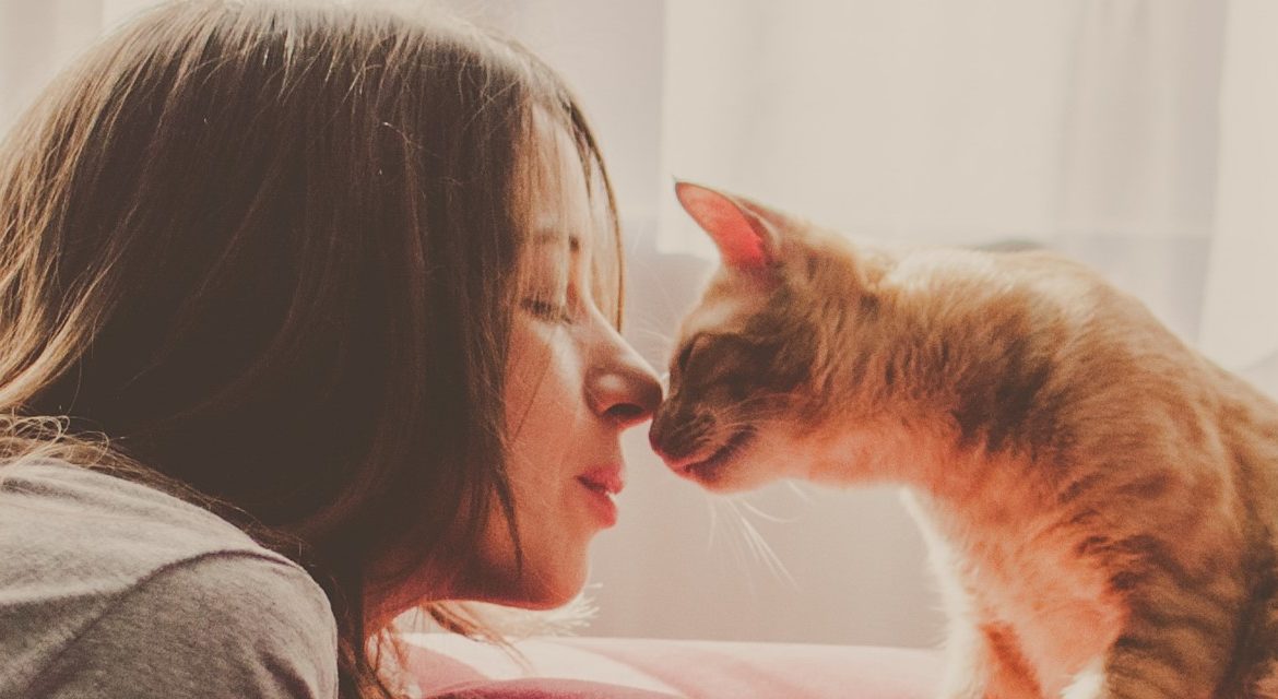 9 признаков горячей любви кота к вам