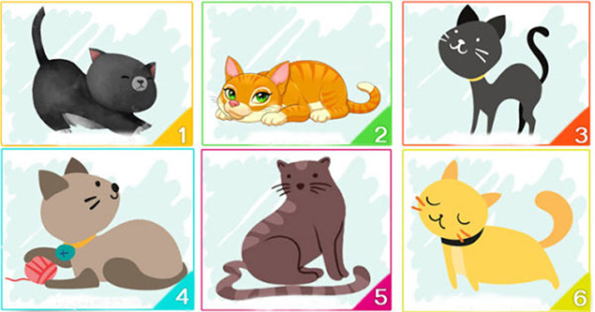 Тест: Выберите кошку и узнайте кое-что о своей личности
