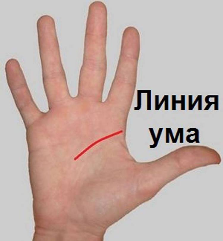 Что означают линии на руке