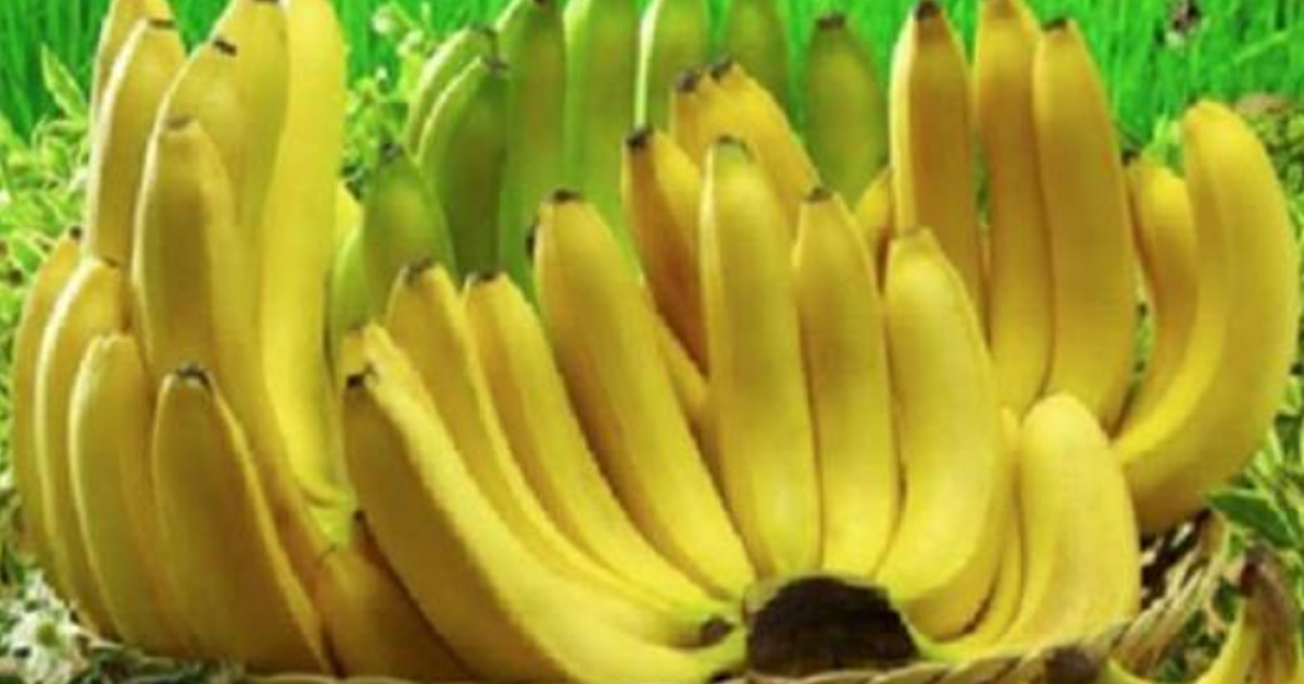 Если вы любитель бананов, прочитайте эти 10 невероятных фактов (№ 6 очень важен)