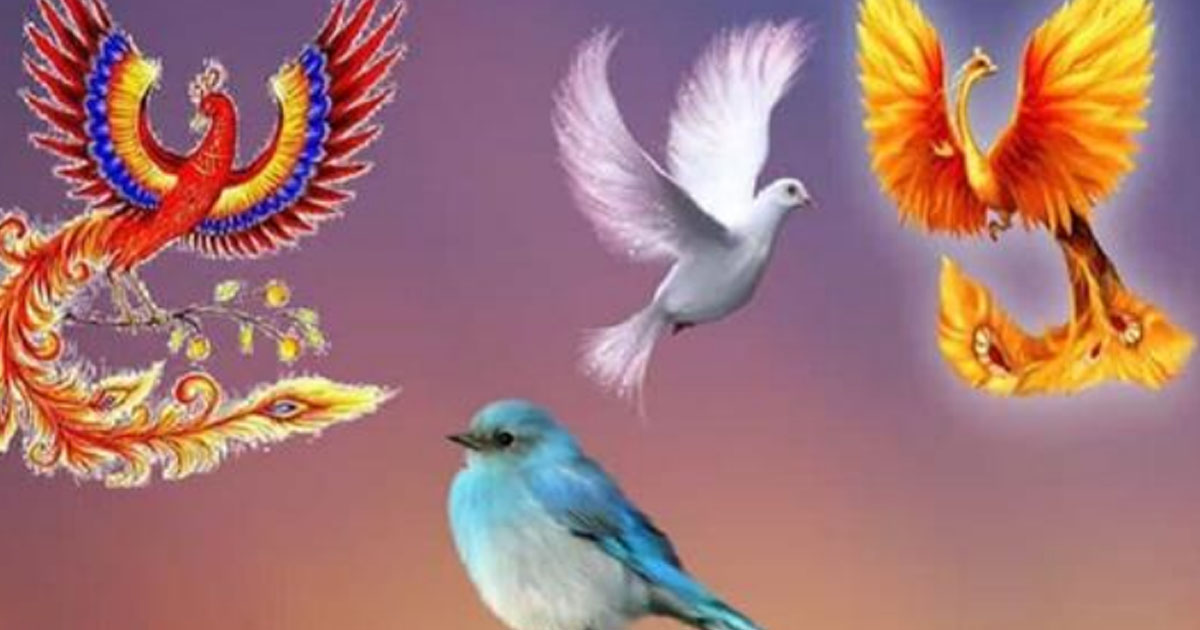 Птица Счастья поведает, какой подарок Судьбы ожидает вас в будущем
