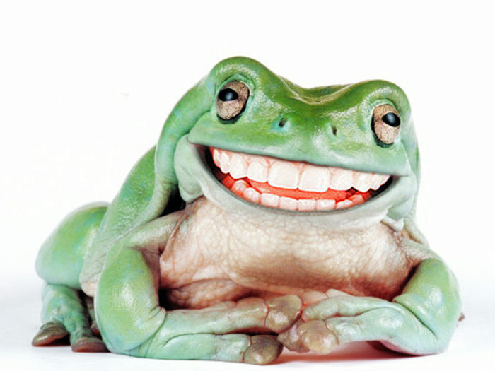 Сказка про жабу, которая заменит консультацию психолога